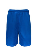 Swish Boys Basketball Shorts - Royal