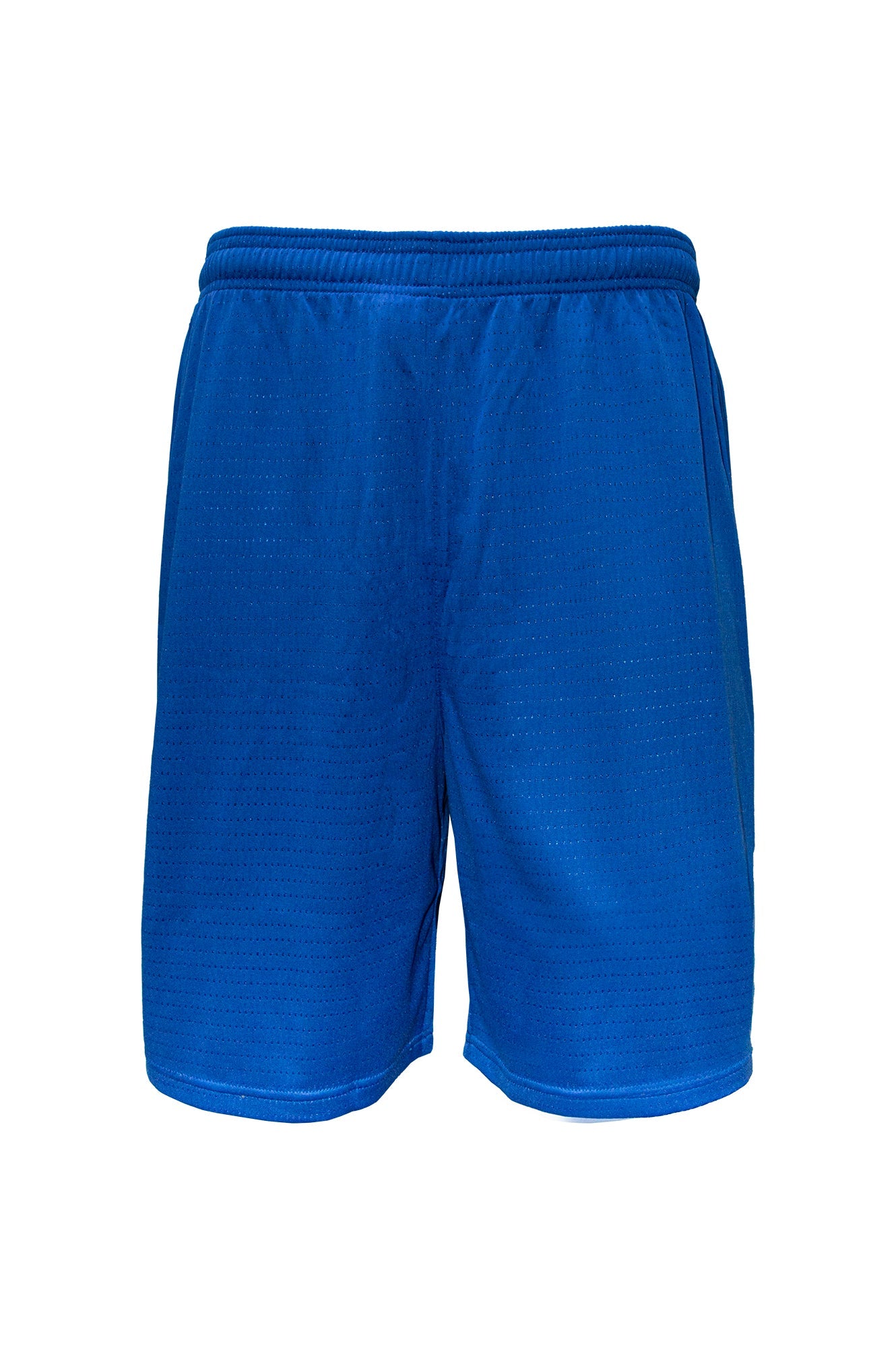 Swish Boys Basketball Shorts - Royal
