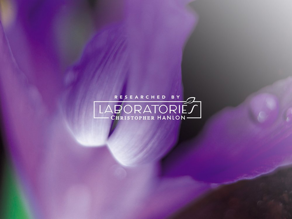 2x ROSEMARY + LEMON CEDARWOOD | SHEABUTTER HAND WASH + HAND BALM